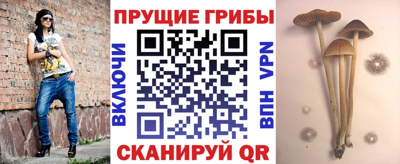 Купить  Керчь  Галлюциногенные грибы MAGIC MUSHROOMS 